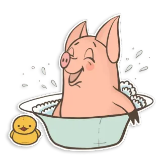 🛁 5577f940 돼지, 목욕, 고무 오리, 동물, 만화, 비누 telegram sticker