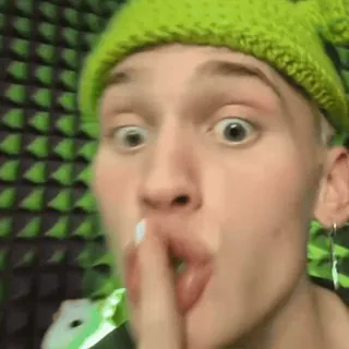 🤫 054b19fa personne, visage, chut, silence, chapeau vert, expression, doigt sur les lèvres whatsapp sticker