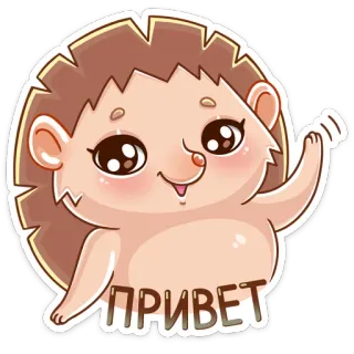 👋 4e2827d0 ПРИВЕТ 고슴도치, 안녕하세요, 귀여운, 동물 telegram sticker