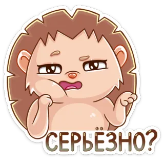 😒 ef4b8b91 Серьезно? 고슴도치, 동물, 귀여운, 스티커 telegram sticker