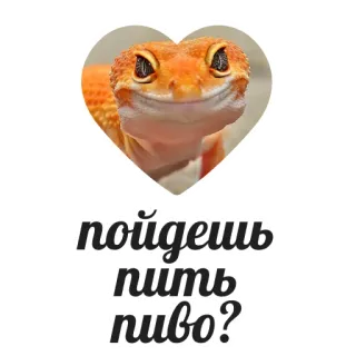🍺 63b01a52 пойдешь пить пиво? kadal, tokek, bir, minuman, binatang, imut whatsapp sticker