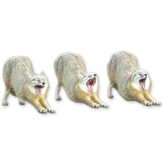 😴 675d9e36 gato, estirando, bostezo, animal whatsapp sticker