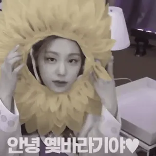 🐻 43c94a6e 안녕 옞바라기야♥ kpop, idol, hoa, gái, dễ thương, hàn quốc, xinh, vui nhộn telegram sticker