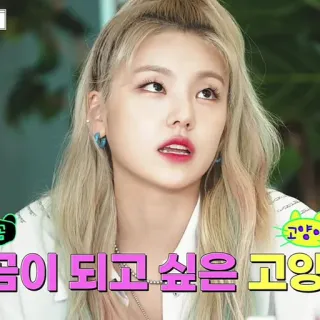 💐 a36130d8 고양이 꿈이 되고싶은 고양이 korea, kucing, K-pop, mimpi, harapan telegram sticker