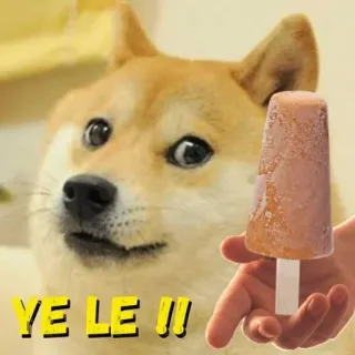 🍦 0926be2d Doge YE LE !!! doge, 表情包, 冰淇淋, 搞笑, 网络迷因, 柴犬 telegram sticker