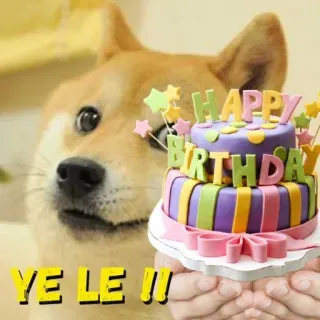 🎂 1906d20d YE LE !! 狗, 蛋糕, 生日快乐, 庆祝, 派对, 好玩, 可爱 telegram sticker
