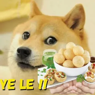 🍱 32410cfd Doge YE LE !!! doge, 表情包, 印度 पानी पूरी, 印度菜, 食物, 零食, 搞笑 telegram sticker