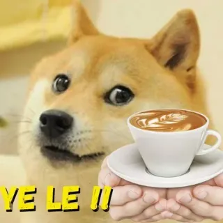 🍩 43144796 YE LE !!! doge, 狗, 咖啡, 表情包, 杯子, 网络迷因, 搞笑 telegram sticker