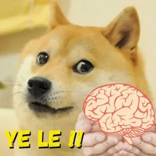 🧠 5de08cff YE LE !! Doge, 表情包, 狗, 大脑, 网络迷因 telegram sticker
