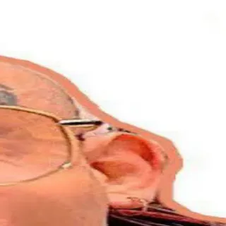 🖕 34470596 anatomie, oor, mens, medisch, lichaam, wetenschap telegram sticker