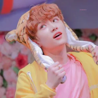 🙄 3b159317 telegram sticker