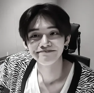 🛍️ 7659db49 persoon, man, portret, zwart wit, zebraprint whatsapp sticker