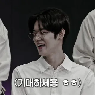 🍗 bd8e1d47 (기대하세용 흫흫) เกาหลี, แว่นตา, ยิ้ม, คน, ผู้ชาย telegram sticker