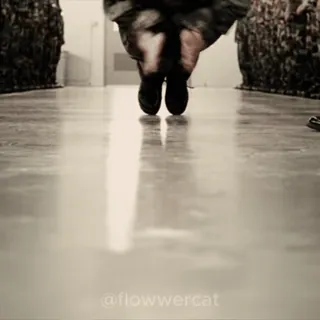 🏋️‍♂️ 746f2658 @flowwercat militer, tentara, melompat, seragam, perang, senjata telegram sticker