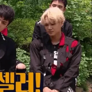 🇵🇬 37ec6dea 데리러! coréen, texte, personne telegram sticker