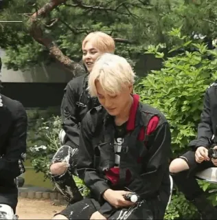 🇵🇬 729bb206 telegram sticker