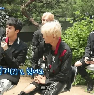 🇵🇬 813714ad Why? telegram sticker