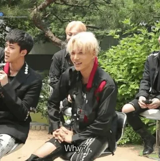 🇵🇬 924c7292 Why? telegram sticker