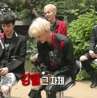 🇵🇬 d85035a5 강렬 그자체 telegram sticker