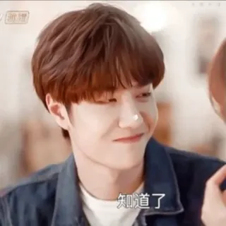 𝐘𝐢𝐛𝐨𓂃🐯 @thebabyibo telegram stickers