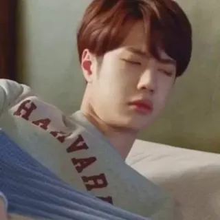 𝐘𝐢𝐛𝐨𓂃🐯 @thebabyibo telegram stickers