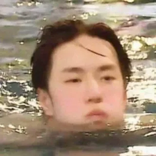 🤍 a1778c46 telegram sticker