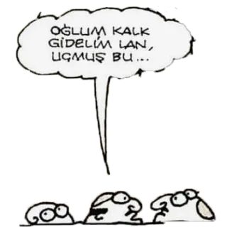 🤯 f7843c2c OĞLUM KALK GİDELİM LAN, UÇMUŞ BU... 漫画, 吹き出し, トルコ語, ネズミ telegram sticker