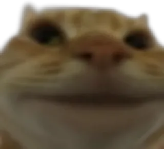 🙂 101ff990 mèo, meme, động vật, thú cưng whatsapp sticker