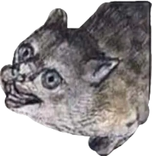 😈 6b441d8c whatsapp sticker