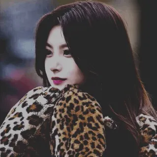 💎 6bac3258 donna, animalier, giacca, ritratto, moda, stile, bella, bellissima telegram sticker