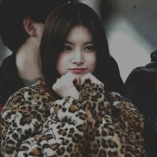 💎 b991ff06 donna, cappotto, stampa leopardata, moda, ritratto, coreano, celebrità telegram sticker
