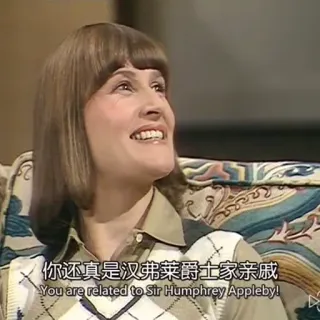 🎤 9be35849 你还真是汉弗莱爵士家亲戚
You are related to Sir Humphrey Appleby! telegram sticker