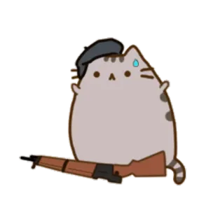 🇫🇷 c6e84ce4 Pusheen 猫, 军事, 枪, 武器, 贝雷帽 telegram sticker