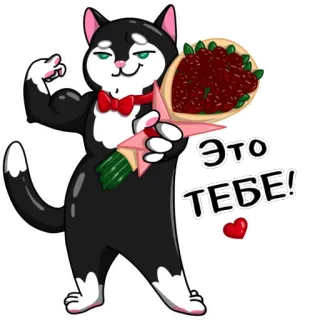 💐 14812228 Это ТЕБЕ! кот, букет, мультфильм, романтический, подарок, сердце telegram sticker