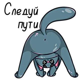🖕 73addf64 Следуй пути кот, стикер, животное, мультфильм telegram sticker