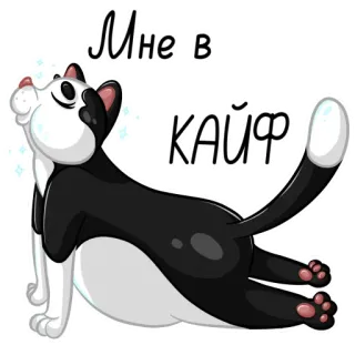 🤤 8b3a3275 Мне в КАЙФ кот, расслабление, кайф, мне, животное telegram sticker