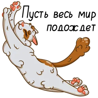 😏 e267573e Пусть весь мир подождет кот, ленивый, расслабленный, прокрастинация, русский, текст telegram sticker