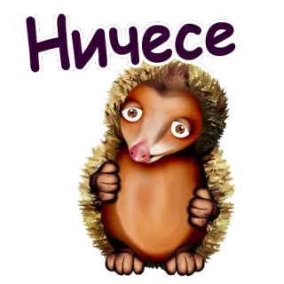 🙄 2e30317d Ничесе jeż, kreskówka, słodki, zwierzę, rosyjski, wyraz telegram sticker