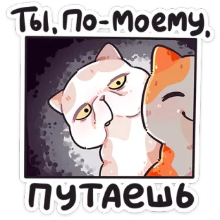 ❤️ 45fd1fb3 Ты, по-моему, путаешь gato, engraçado, meme, russo, animal, animal de estimação, adesivo telegram sticker