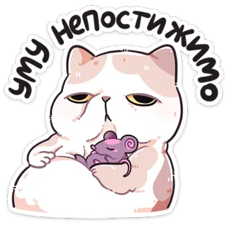 ❤️ 62a87439 Уму непостижимо gato, rato, sono, desenho animado, adesivo, fofo, animal telegram sticker