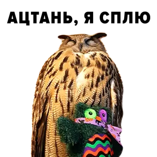 😴 7b34f650 burung hantu, boneka, lucu, mengantuk, halloween, musim gugur, alam, burung whatsapp sticker