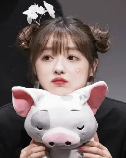 ✨ 372ce13f vrouw, persoon, knuffel, varken, schattig, meisje, portret telegram sticker