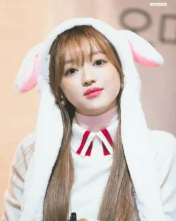 ✨ f03f63f5 telegram sticker