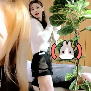 🎞 b3c334c0 kelinci, hewan, telinga, lucu, stiker telegram sticker