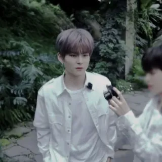 🐯 000a7067 whatsapp sticker