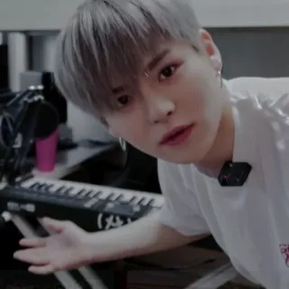 🐯 00a642d0 whatsapp sticker