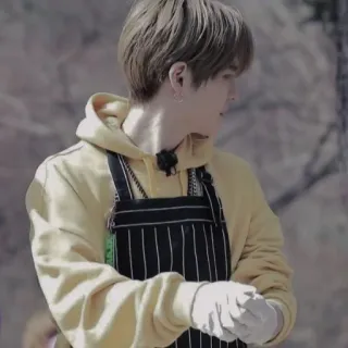 🐯 0bc9f569 whatsapp sticker