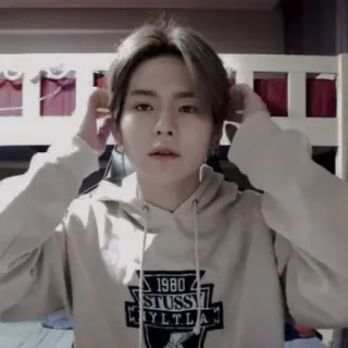 𖠵 𝐘oshi 〣 @stickernct ﾞ telegram stickers