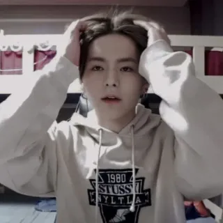 🐯 3bef5b89 STUSS hombre, sudadera con capucha, casual, interior, retrato whatsapp sticker