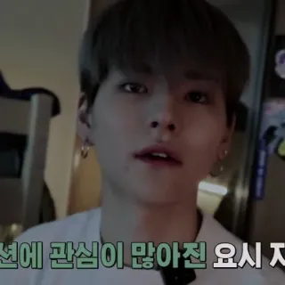 🐯 5b56b0f0 선에 관심이 많아진 요시 지 whatsapp sticker